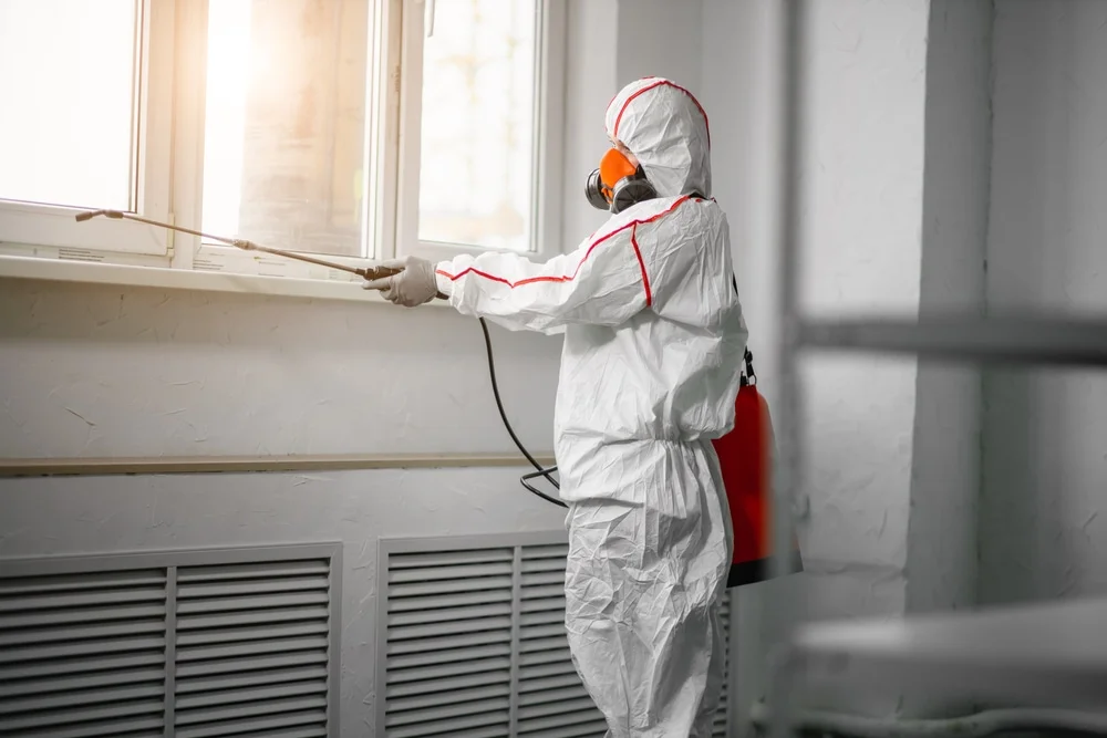 Professional mold remediation services in Cocoa Beach, FL